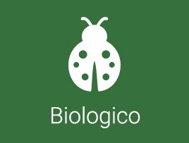 biologico