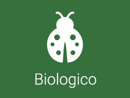 biologico