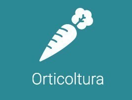 orticoltura