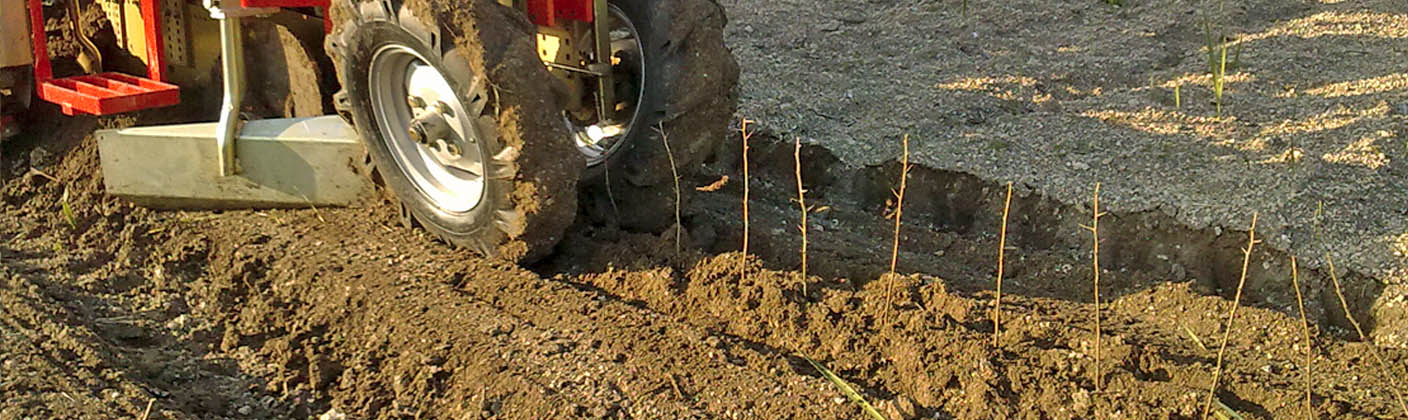 planteuse de porte-greffes